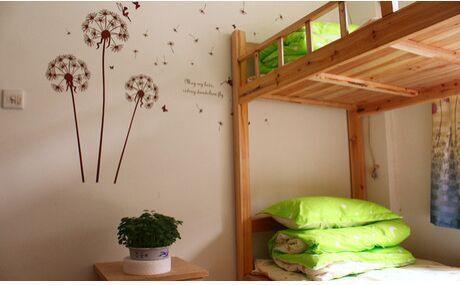 Backyard Youth Hostel 샤먼 객실 사진